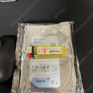 시게이트 3.5 10TB HDD SkyHawk AI