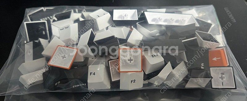독거미 F87 골드축 키캡--0