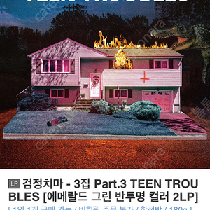 검정치마 teen troubles LP 배송지변경