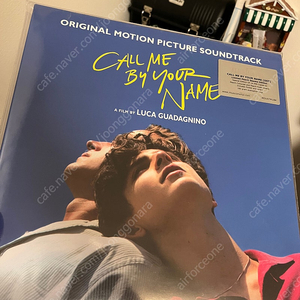 콜미바이유어네임 call me by your name LP