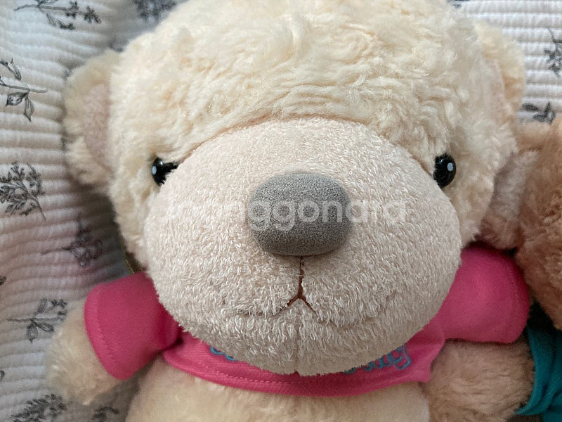 위시윙 소형 일괄--1