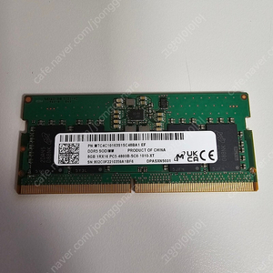 DDR5 8g 노트북용