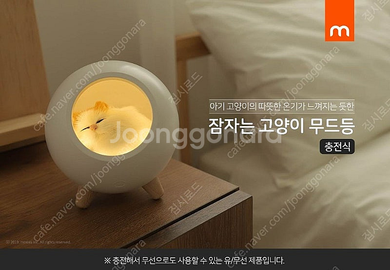 [무드등] 무아스 잠자는 고양이 충전식 무드등 민트색 ...--3