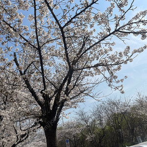 캐리비안베이 골드 종일권, 자켓대여 티켓 2장 구매