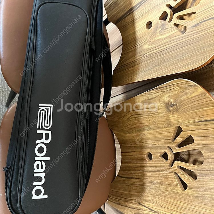롤랜드 전자색소폰 에어로폰 ae20--2