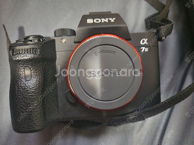 소니 A7M3 / SEL24105G--1