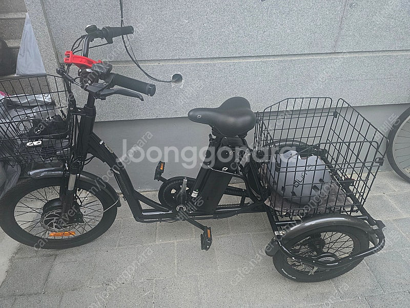 전기세발자전거 (대구)--0