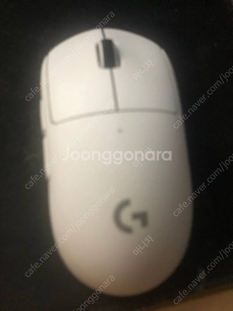 지슈라2 화이트--0