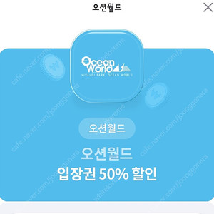 오션월드 50프로 할인