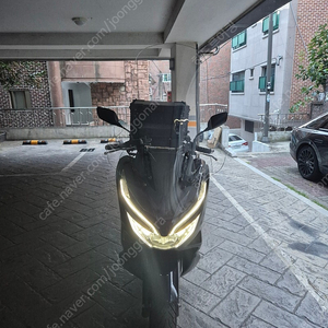 pcx125 20년식 팔아요