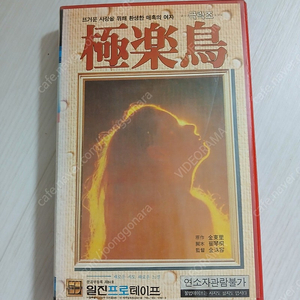 한국영화 김수용 감독 멜로 심령 판타지 희귀작 신성일 윤정희 주연 극락조(Bird of Paradise)(1975) 비디오 테이프