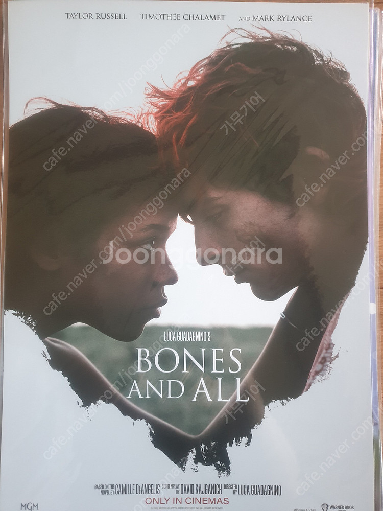 영화 A3포스터 아이맥스 돌비 4DX SCREENX포스...--7