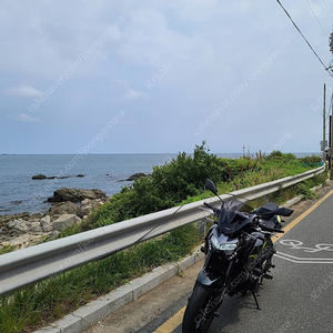 부산 가와사키 Z900 2020연식 ABS 7035km 요시무라 알파T슬립온 구변완료