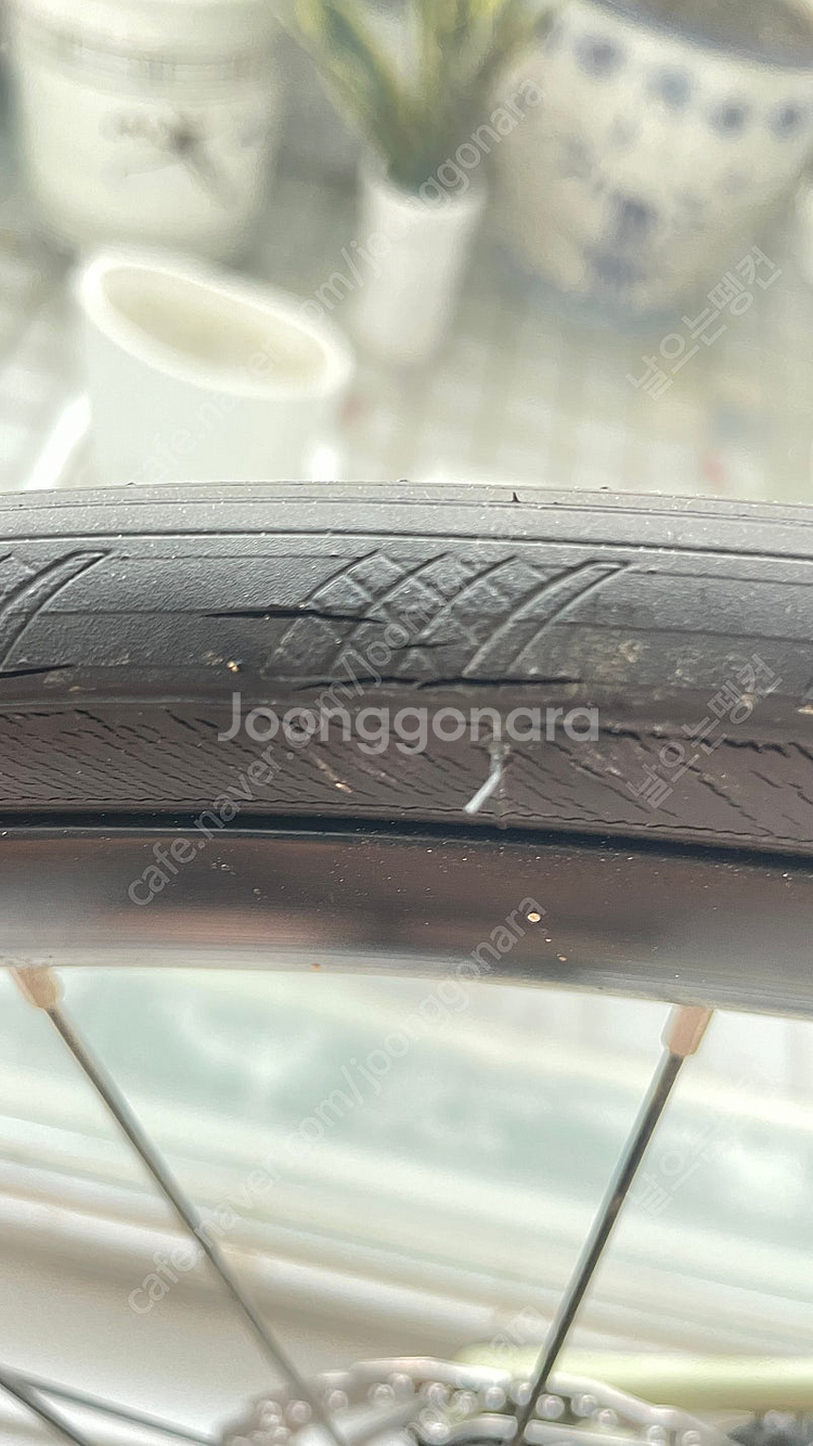 엘파마 레이다6 105 di2 2023년형 xs사이즈 ...--7