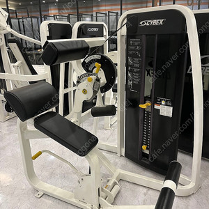 Cybex 머신들 (싸이벡스/사이벡스/글루트, 덩키킥 ,백 익스텐션, 팝니다