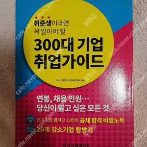 취준생이라면 꼭 알아할 할 300대 기업 취업가이드 최상급책 팝니다.