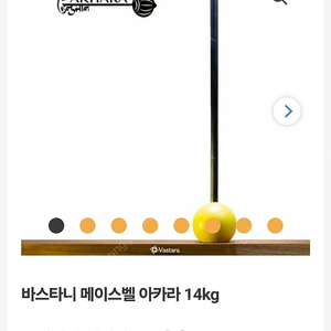 소마앤바디 바스타니 메이스벨 14kg 판매합니다