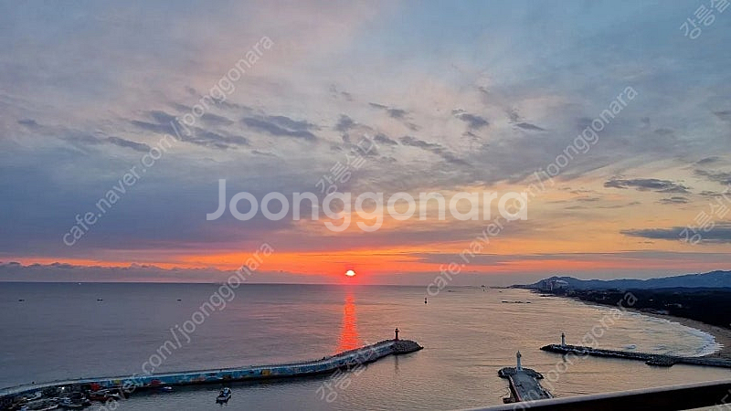 강릉 사천해변 호텔 3룸 8월17일(토)1박/2박 고층오션뷰 주니어스위트더블 숙박--1