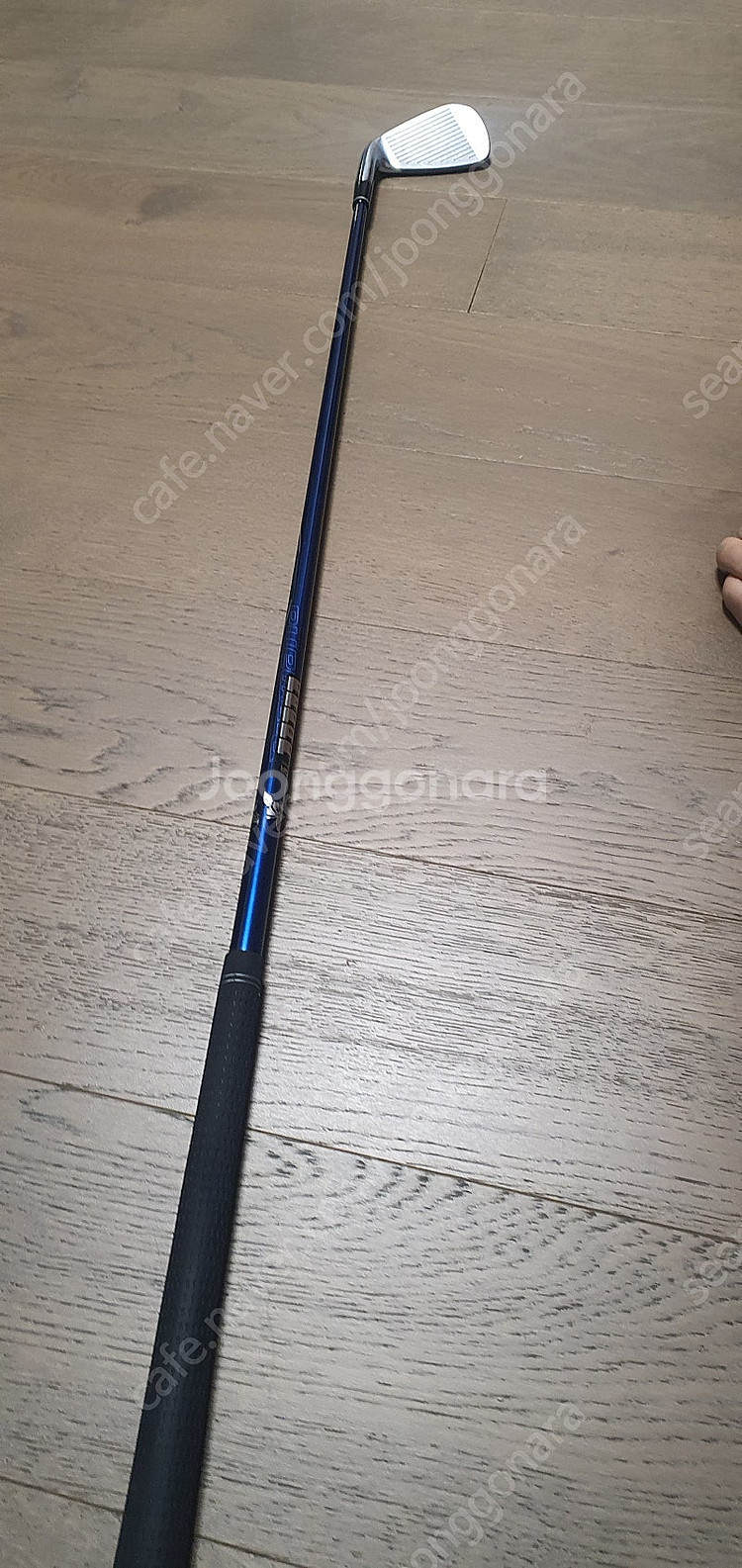 prgr rs 7번 아이언 diamana 샤프트 그라파...--4