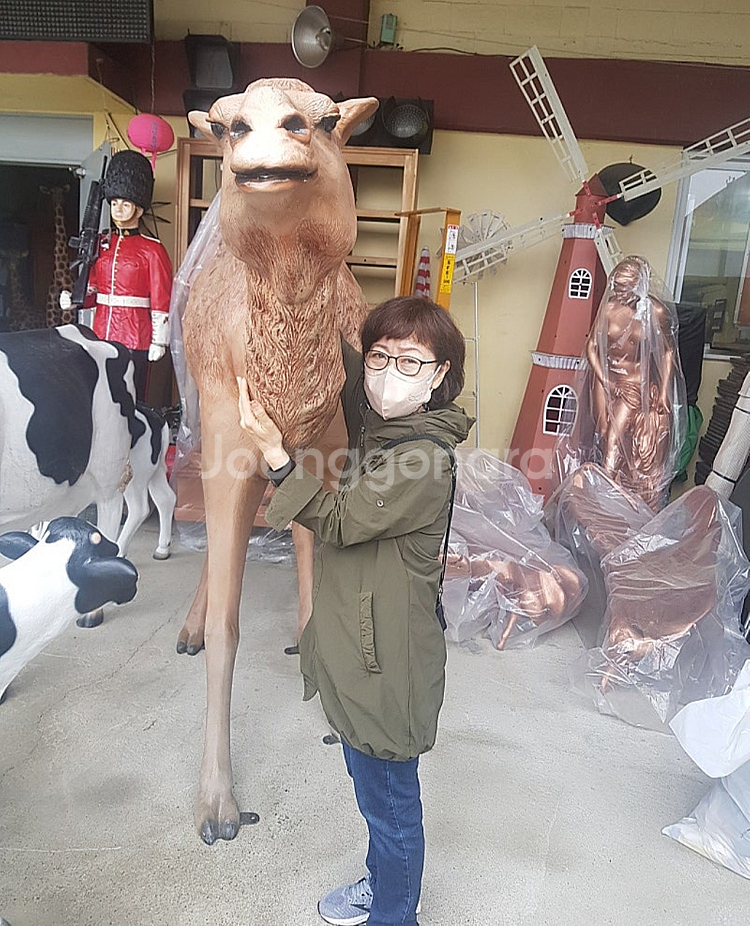 대형조형물 동물조형물 / 낙타--0