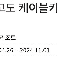 하이원곤돌라4인권 판매합니다(유효기간24.11.1까지)