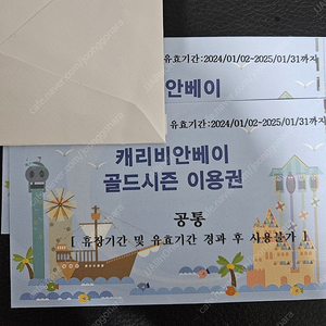 캐리비안베이 골드시즌 이용권