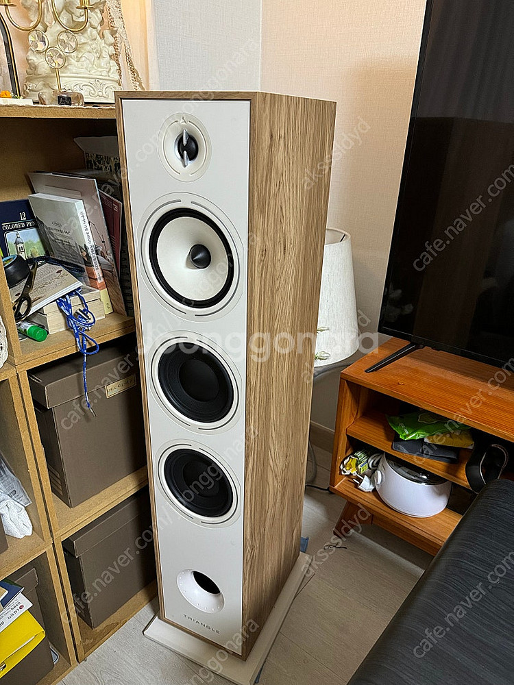 트라이앵글 보레아 br08 wiim amp 폴크오디오 ...--2
