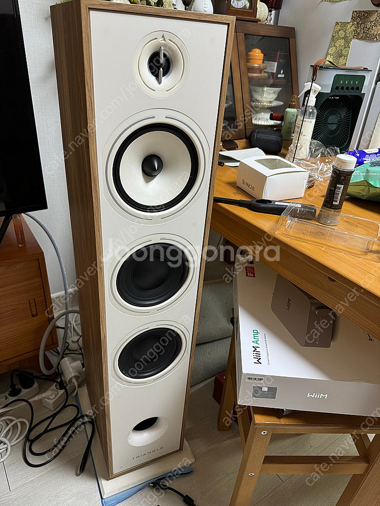 트라이앵글 보레아 br08 wiim amp 폴크오디오 ...--3
