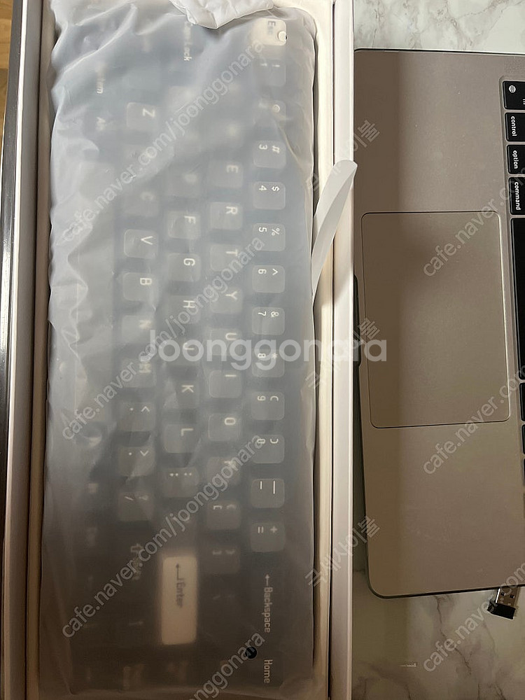 멜긱 모조68 레트로 컬러--1