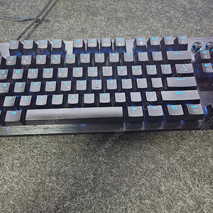 레이저 헌츠맨 v3 프로 TKL 풀윤활 제품 판매합니다.