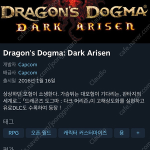 Dragons Dogma - Dark Arisen Steam 키 팝니다!