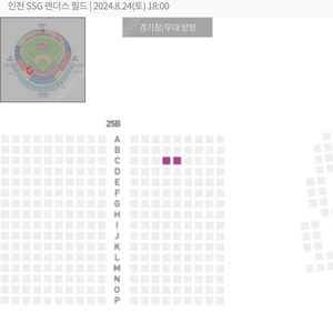 (정가이하) 불꽃놀이 8/24 KT vs SSG 3루 내야지정석 25블럭 C열 2매