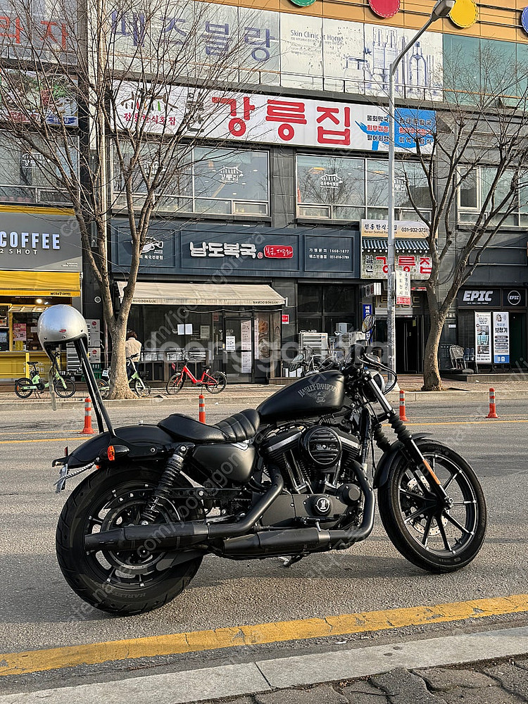 할리데이비슨 아이언883--1