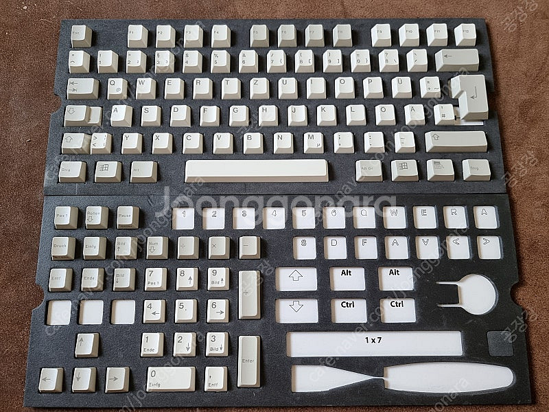 스위치 없는 CHERRY G80-3294--3