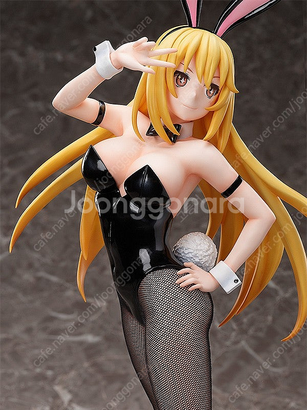 프링 쇼쿠호 미사키 바니 어떤과학의초전자포T--0