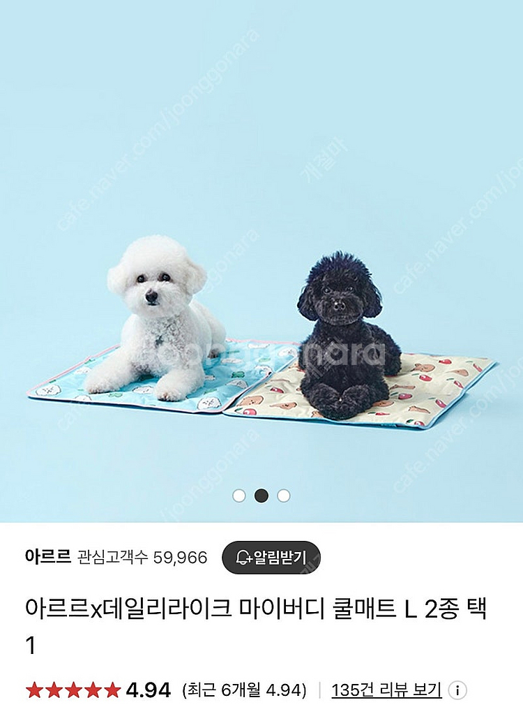 아르르 X 데일리라이크 쿨매트--1