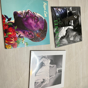 각종 LP 전람회 1집 , 존레전드 , 검정치마 떨스티 LP