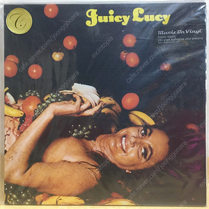 LP : juicy lucy 60년대 브리티쉬 블루스 락 엘피 음반 blues rock