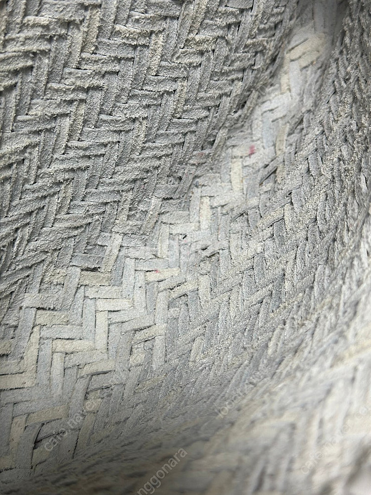 드래곤백 미니고라 화이트--4