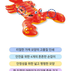 인텍스.랍스타 라이드온 튜브