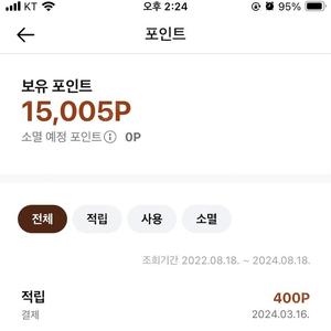 성심당포인트 15000원