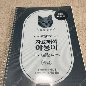 자료해석 야옹이 중급