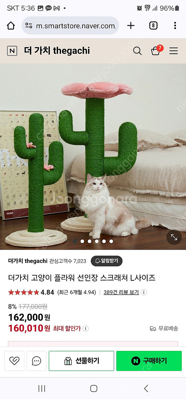 더가치 선인장 스크래처--0