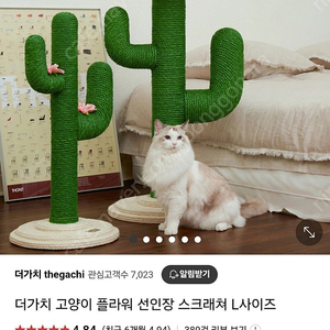 더가치 선인장 스크래처