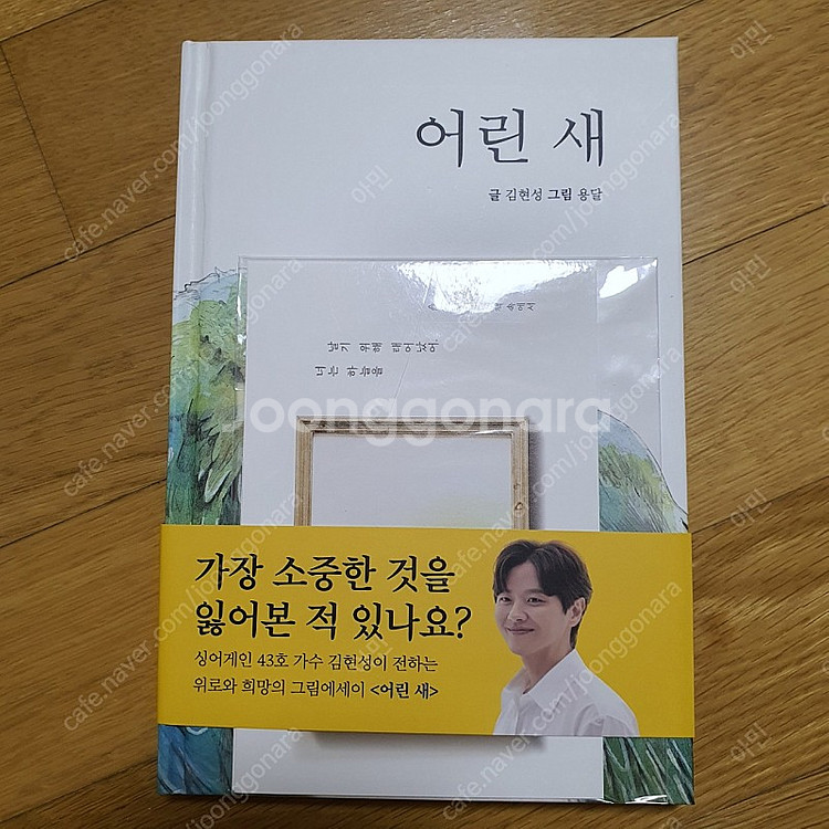 어린 새 / 가수 김현성 작가 친필싸인 그림책 판매--1