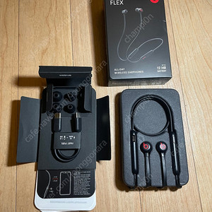 BEATS FLEX 목줄 이어폰(black)