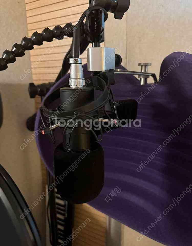 stam audio 사의 sa-800G 스탐오디오--0
