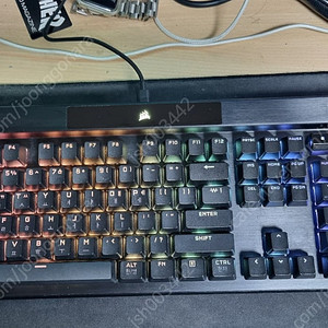 커세어 k70 RGB PRO 적축