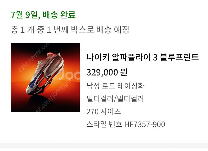 알파플라이3 270--2
