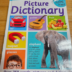 picture dictionary